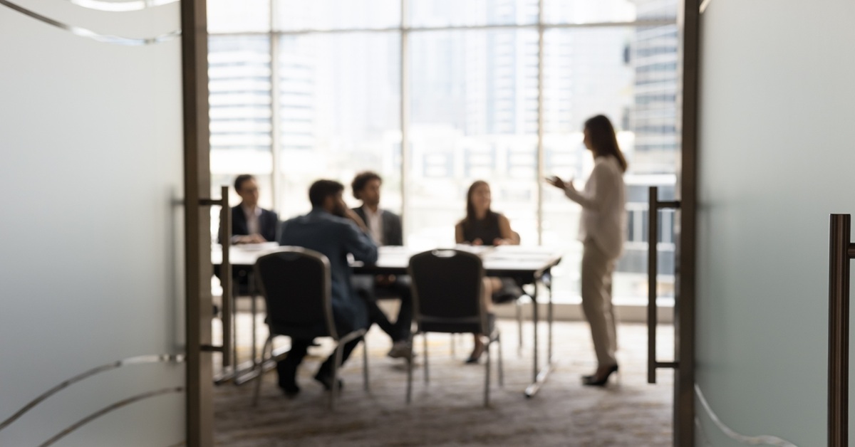 Consultant presenting to a group of professionals in a board room